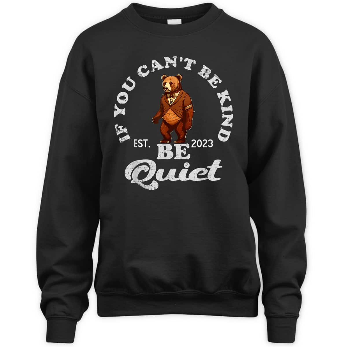 If You Can't Be Kind Be Quiet Funny Sarcastic Kindness Quote T-Shirt If You Can't Be Kind Be Quiet Funny Sarcastic Kindness Quote T-Shirt